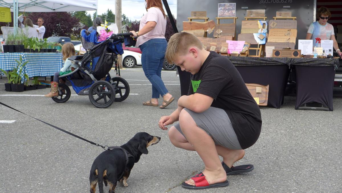 Stwd FM boy and dog