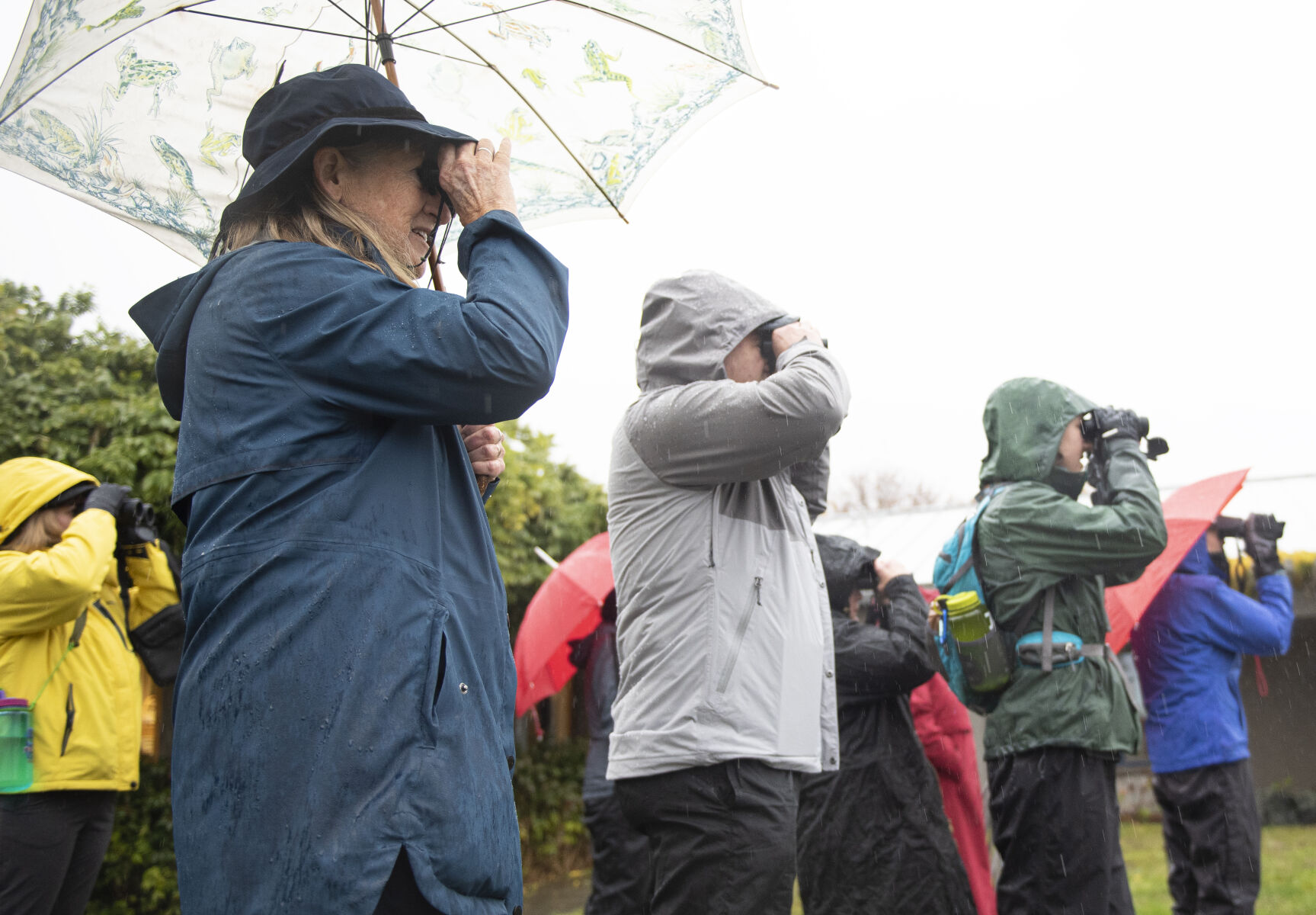 Bird lovers brave the rain to participate in class Ornithology goskagit