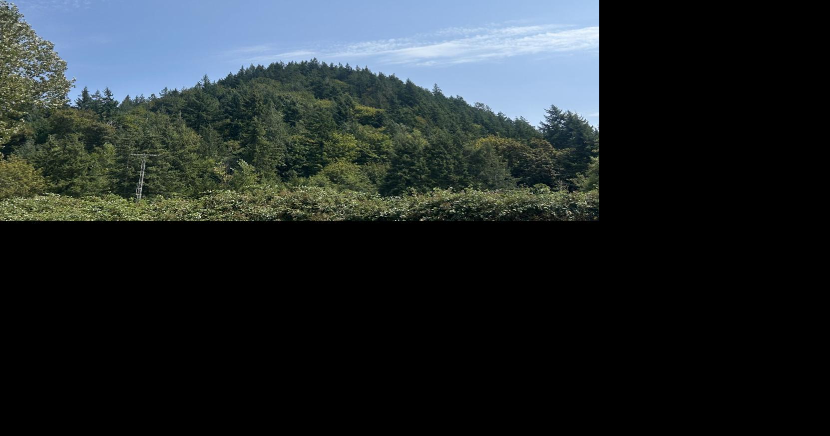 Skagit County residents voice concern over logging on Little Mountain