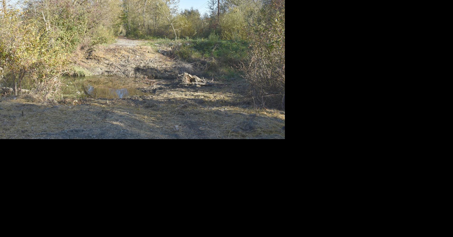 Skagit County working to replace Carey Slough pedestrian bridge