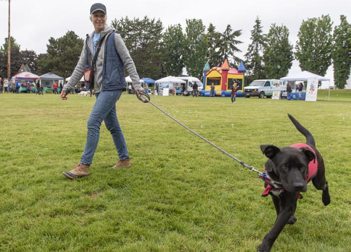 Anacortes hosts annual Bark in the Park Local News