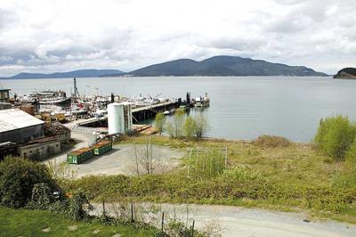Developer Has 12 Million Plan For Condos Marina On Channel News Goskagit Com