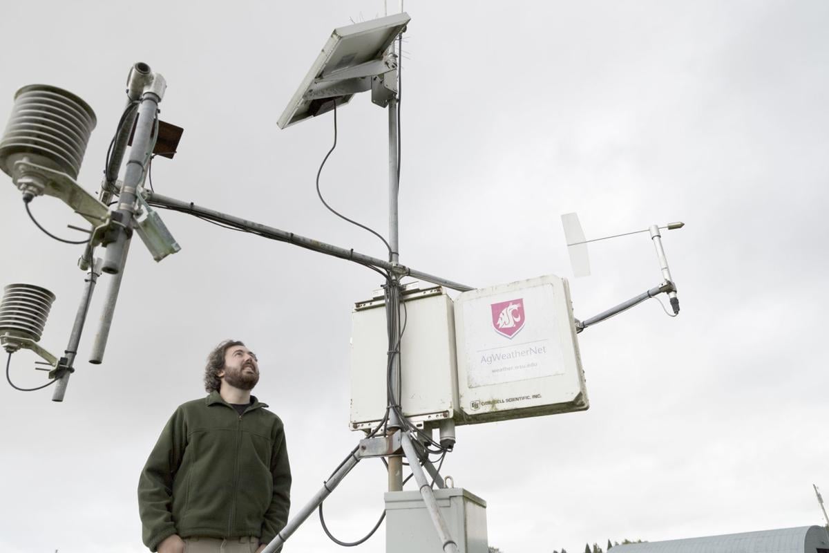 Wsu Adding Weather Stations In Skagit County Local News Goskagit Com