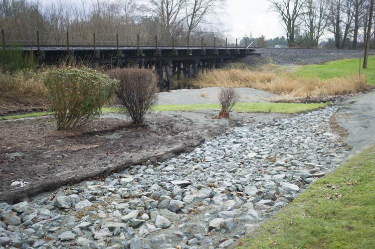 New flood protection tactic brings mixed results outside SedroWoolley