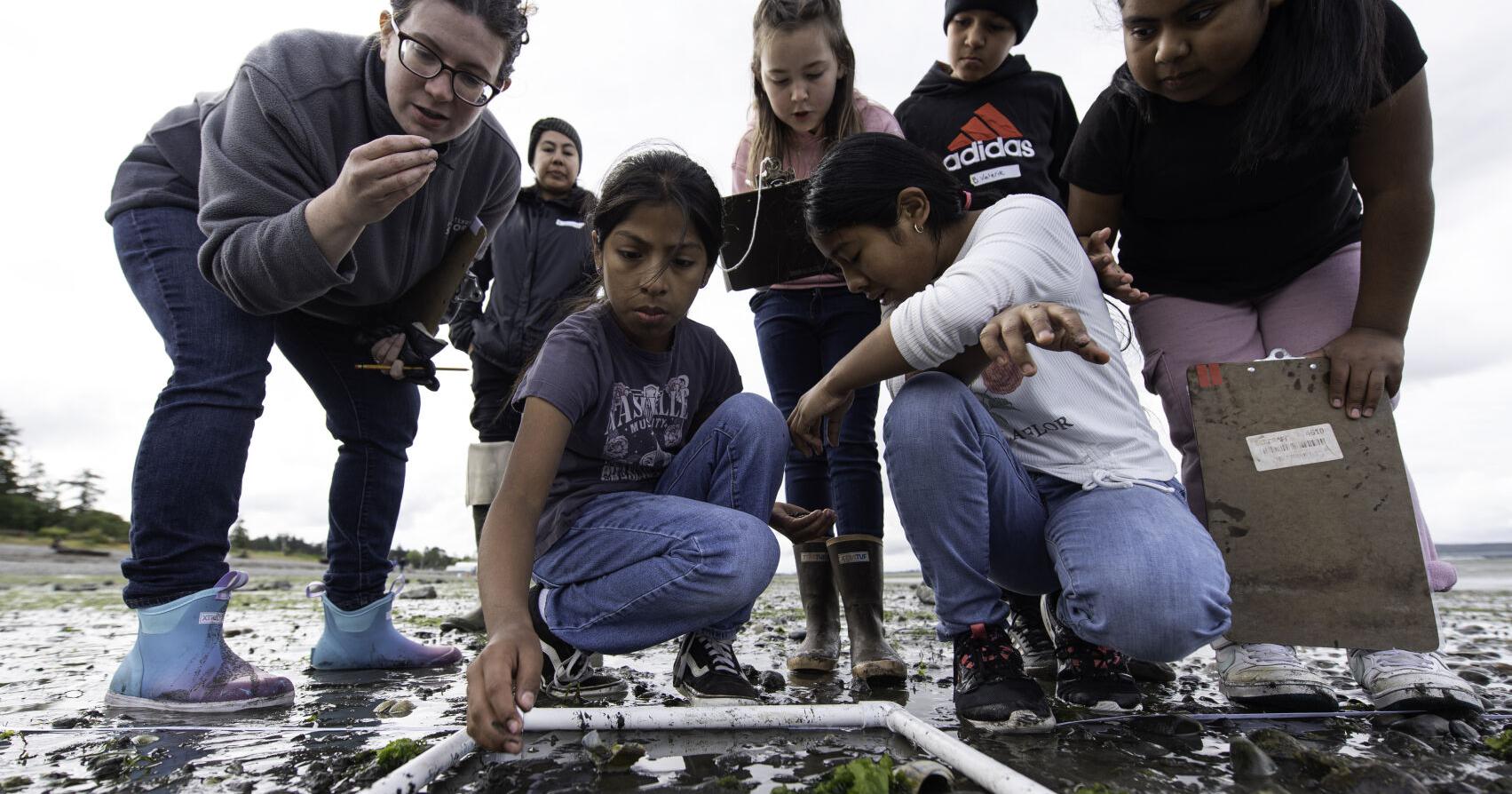 Kids reach into the mud with beach science program - Vimarsana News