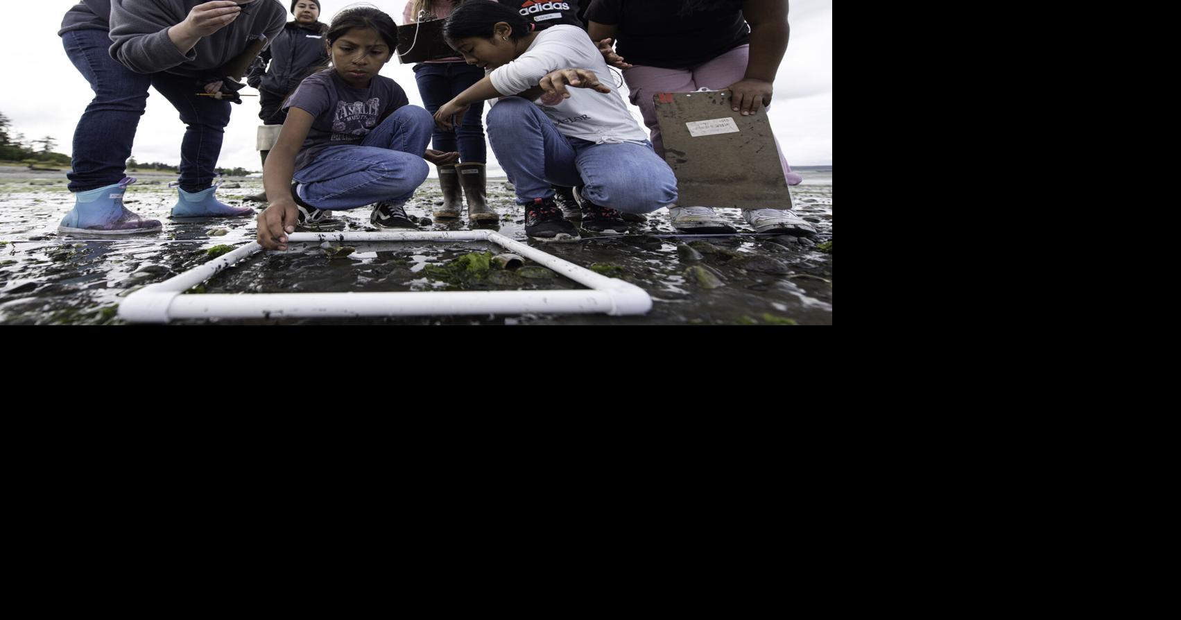 Kids reach into the mud with beach science program | Arts And Community ...