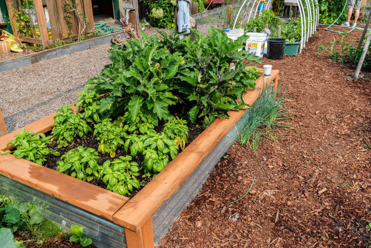 Ask the Master Gardener: Gardening with raised beds | Home And Garden