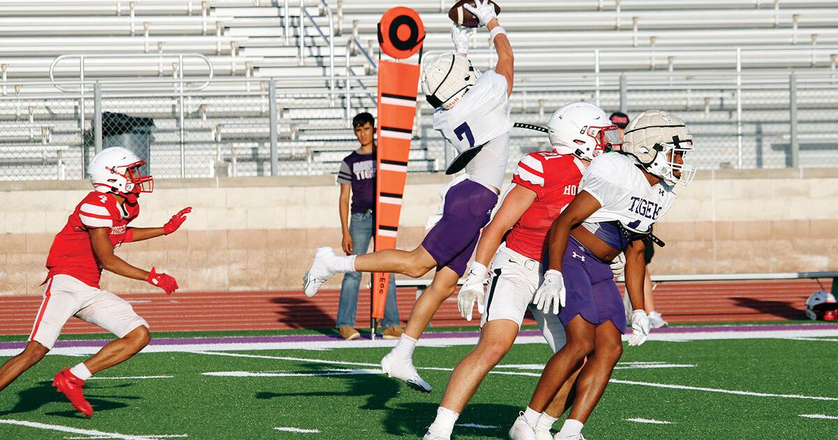Tigers at home for second game