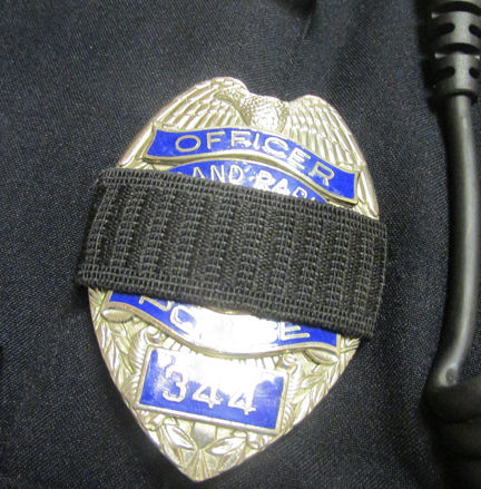 GRPD badge | News | grandrapidsmn.com