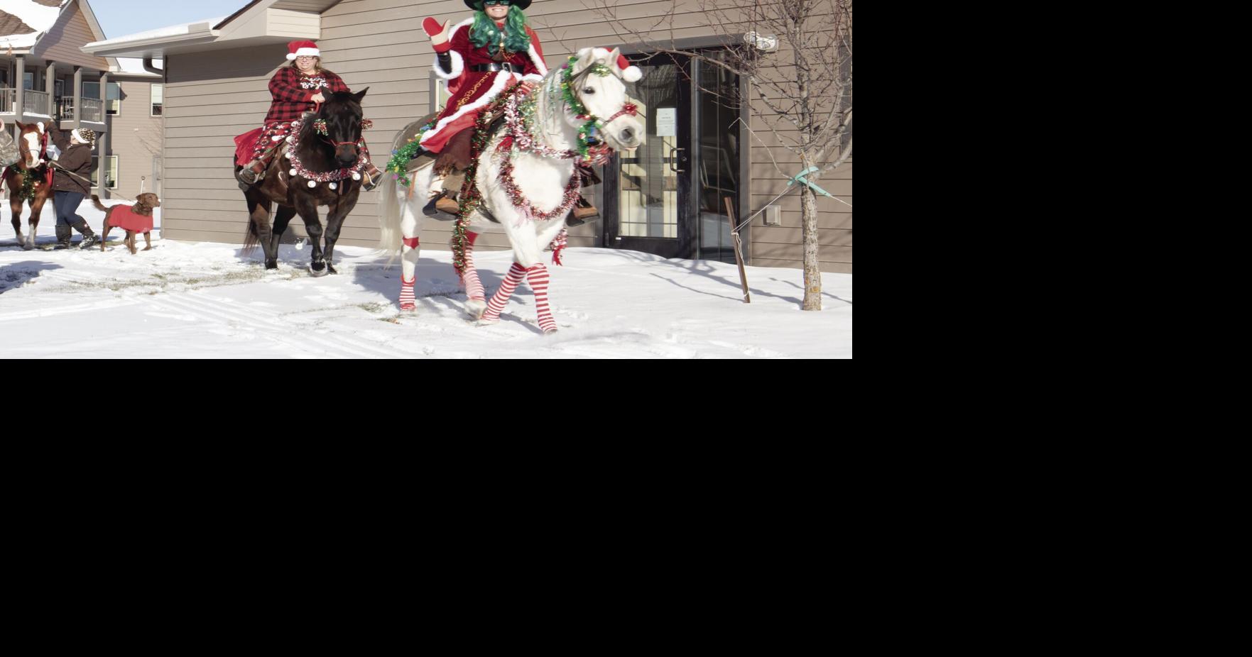 The Christmas Horse Parade spreads holiday cheer | News | grandrapidsmn.com