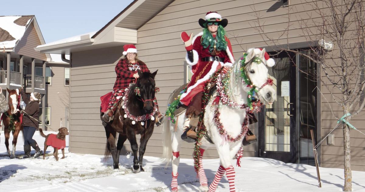 Christmas Live Roping The Christmas Horse Parade spreads holiday cheer | News | grandrapidsmn.com