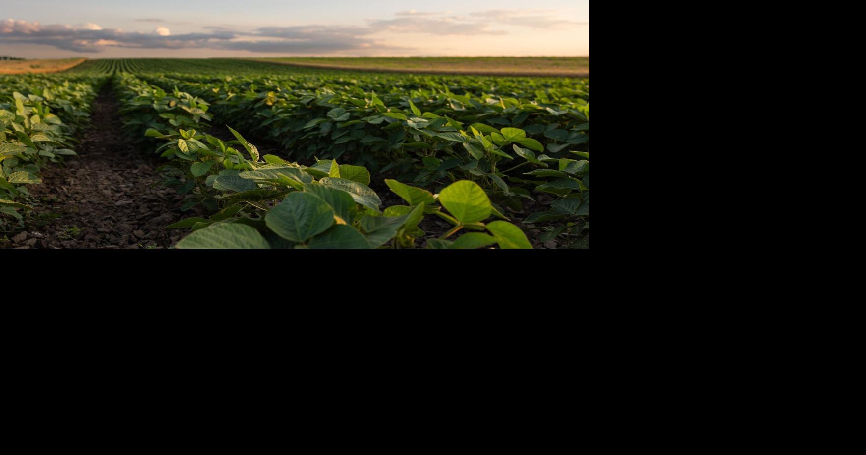 Grand Rapids Herald-Review