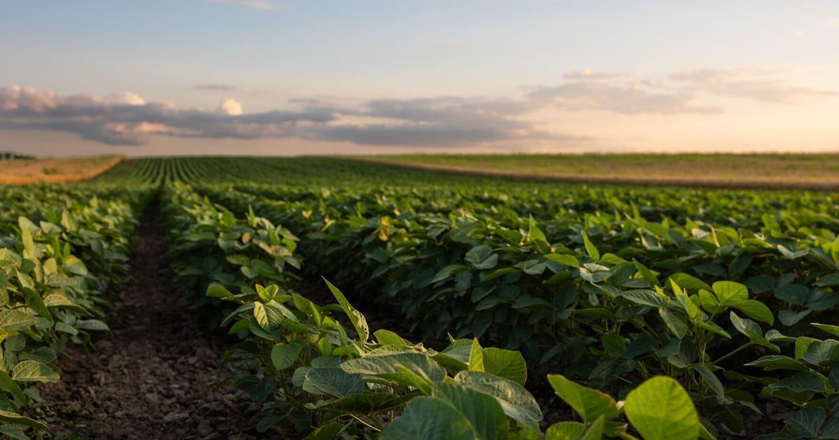 Grand Rapids Herald-Review