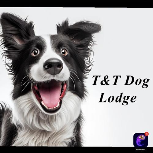 In Talmoon, T&T Dog Lodge focuses on each individual dog | Business ...