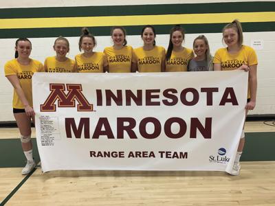 Big Dog All Star Volleyball Match Is Sunday High School