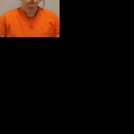 Grand Rapids woman sentenced in child torture case | Legislation ...