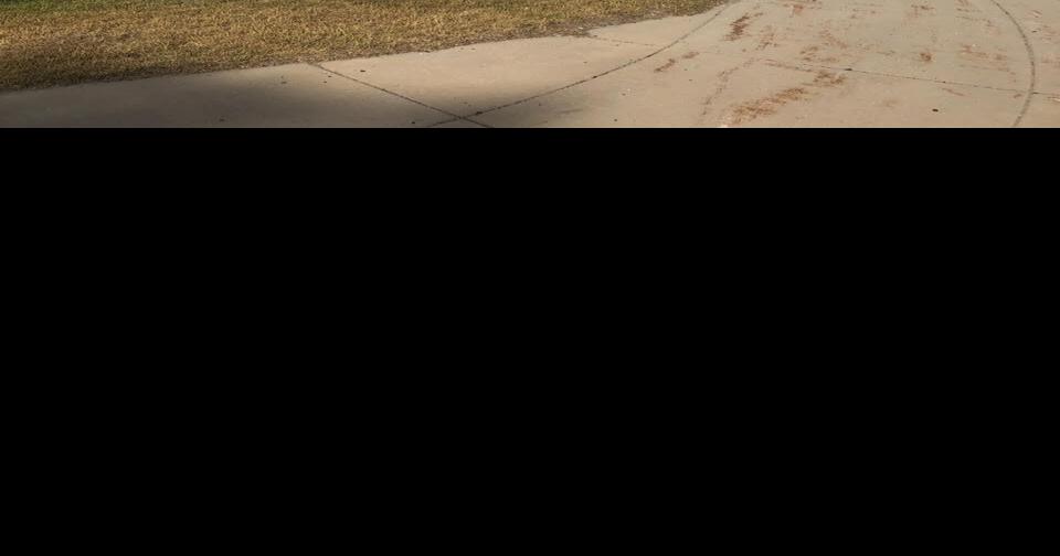 CarQuest supports local education Business