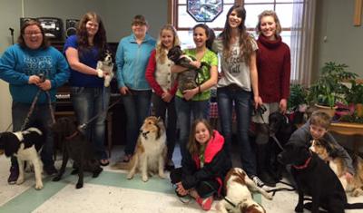 4 H Ers Bring Dog Show To Deer River Seniors Grand People Grandrapidsmn Com
