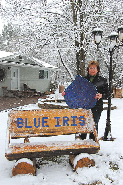 blue iris service mode blue iris service mode