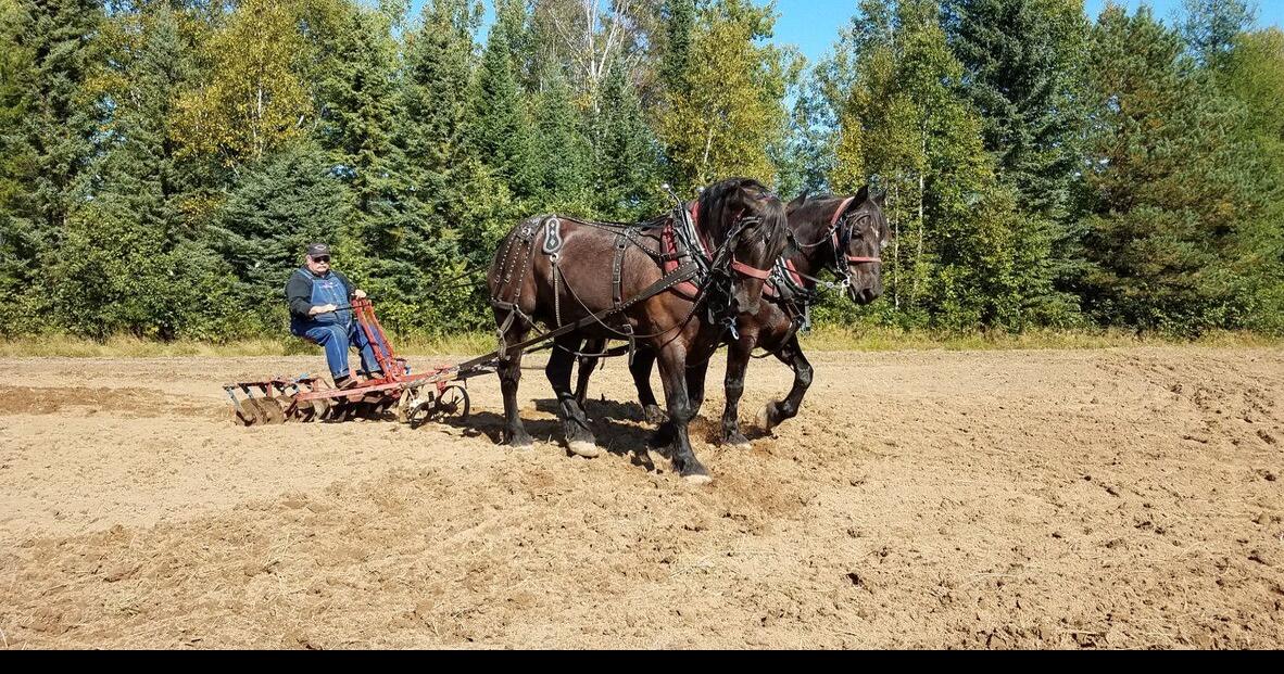 9th Annual Fall Draft Horse Field Day, Sept. 10 News