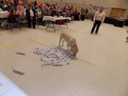 Delta Waterfowl Raffle 1000 Lakes Chapter of Delta Waterfowl holds banquet | Featured ...