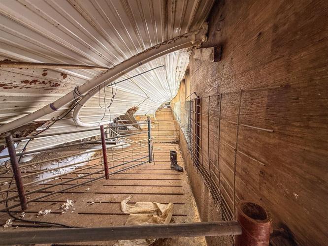 Historic snow destroys hog barn | News | grandrapidsmn.com