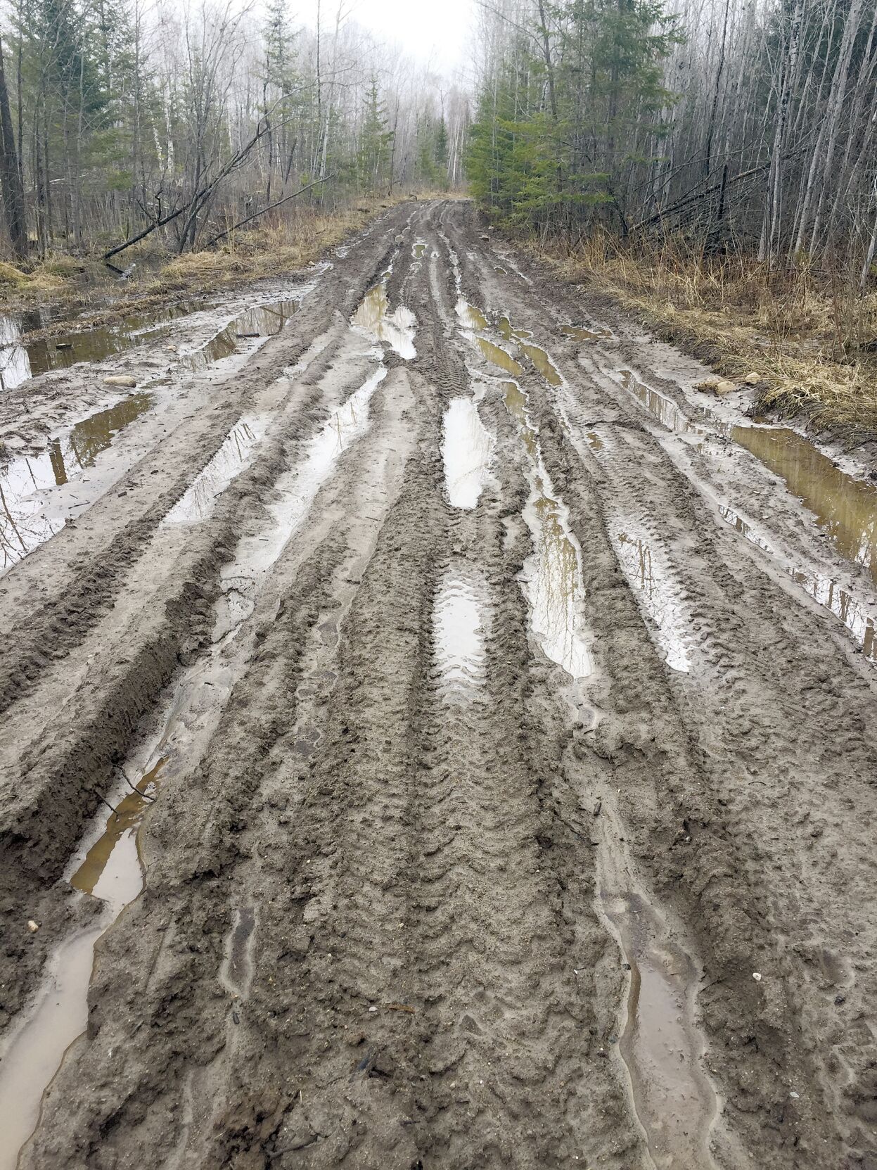 Trail Was Rough Recreation trails seeing increased damage | News | grandrapidsmn.com