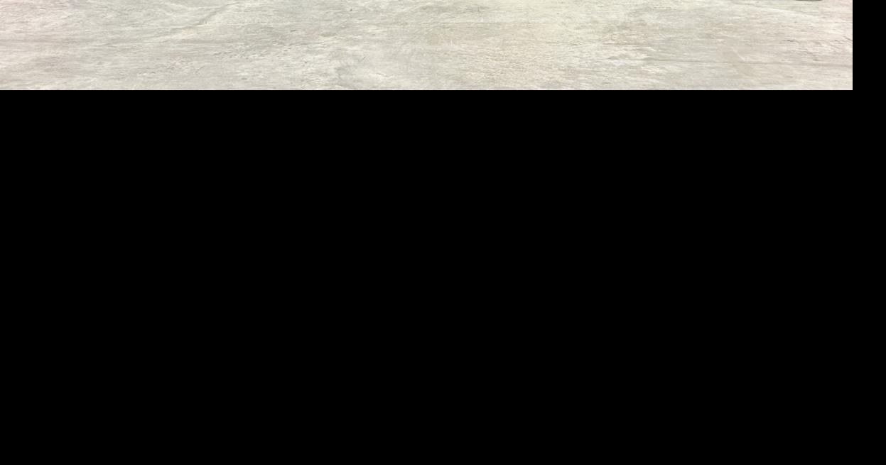 Grand Rapids Gymnastics Academy Hosts Pink The Rink 2026