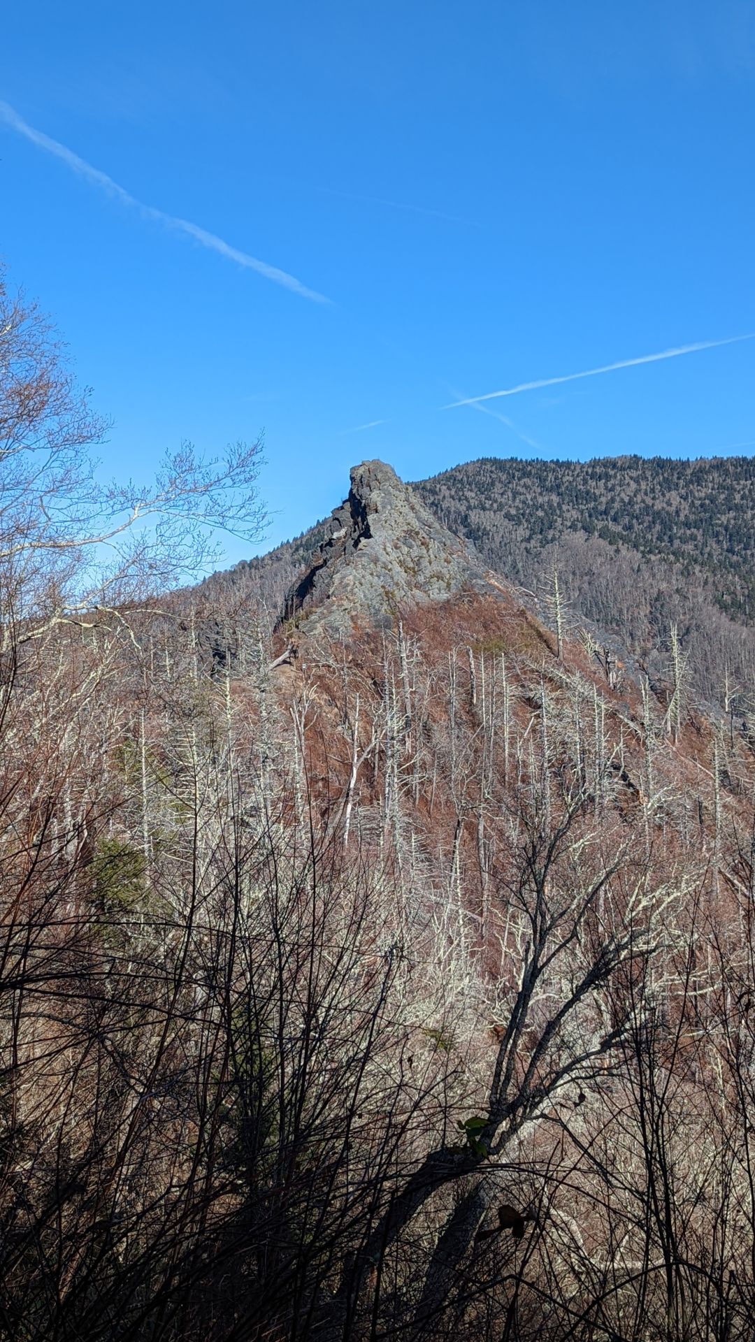 View of the Chimney Tops 5 years after the fires