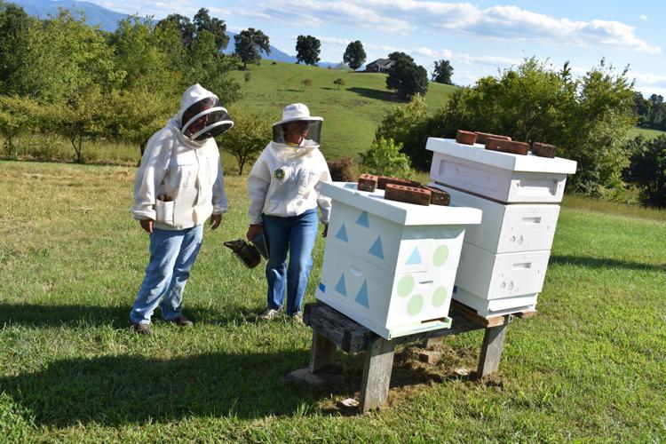 The Buzz on Bees Greeneville To Host FirstEver Upper East TN Bee