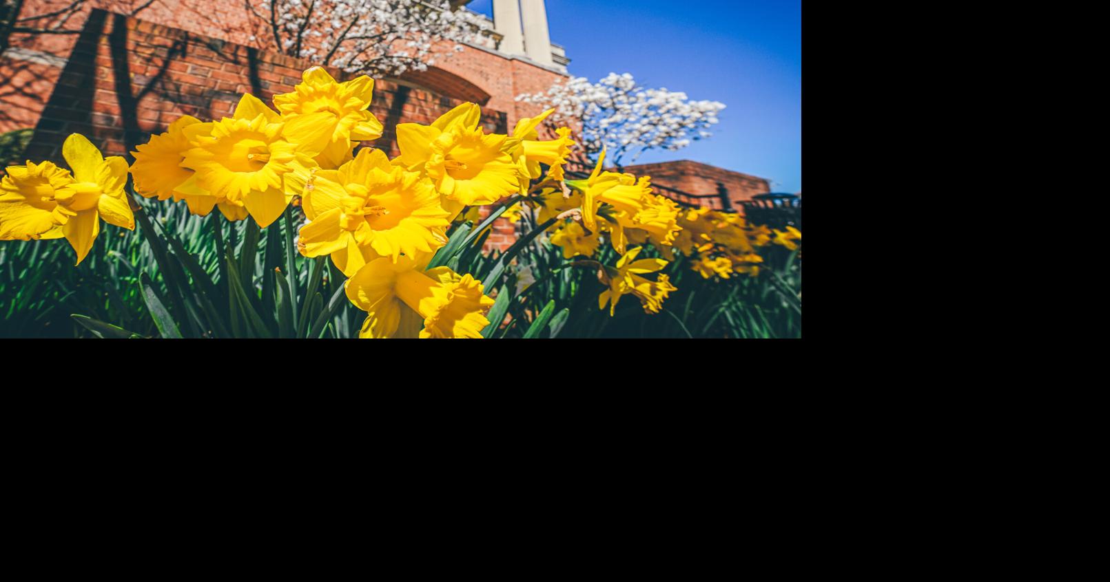 ETSU Predicts Warmer-Than-Normal Spring For East Tennessee | Local News ...