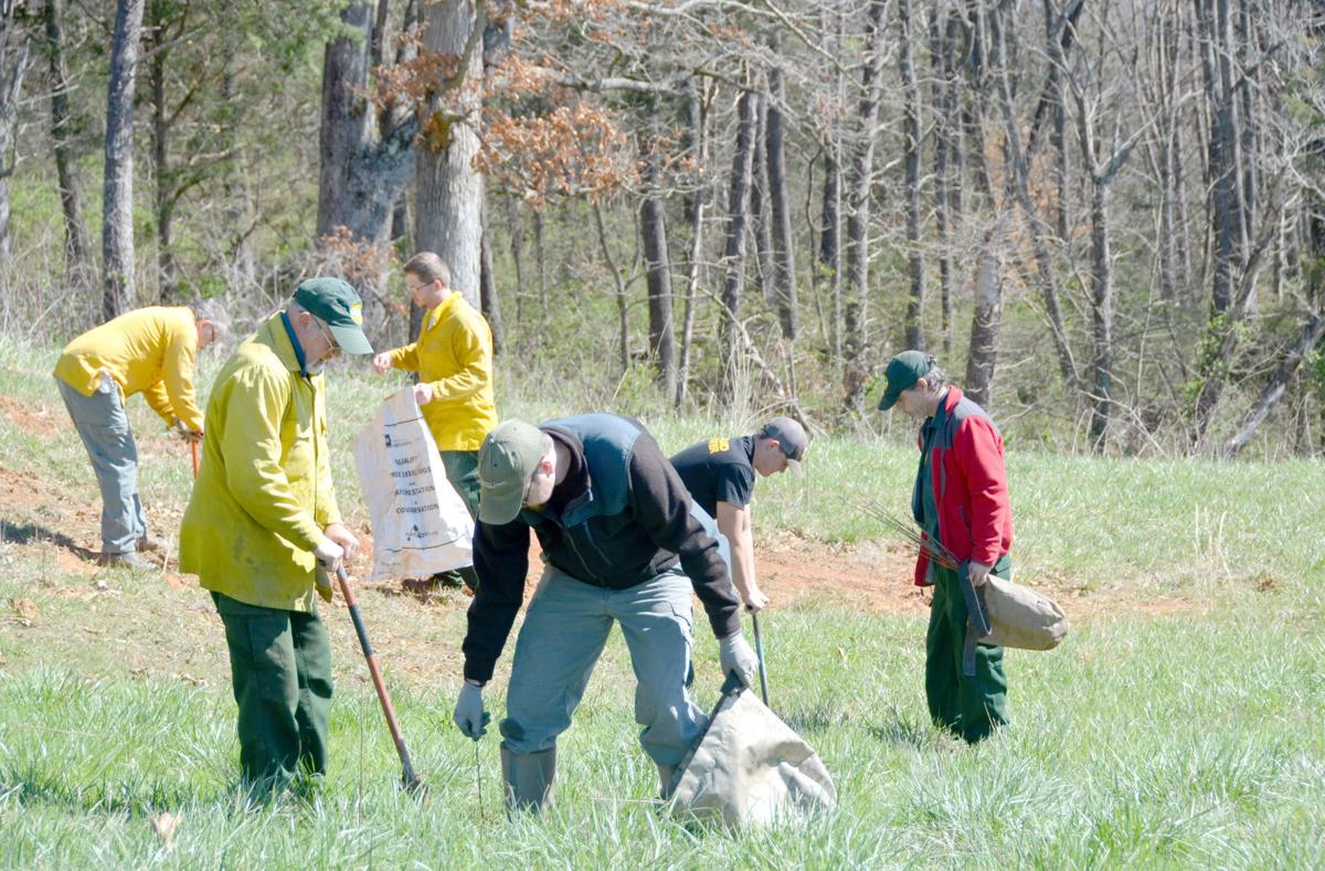 State Forestry Marks Tennessee Arbor Day With 1,100 New Seedlings