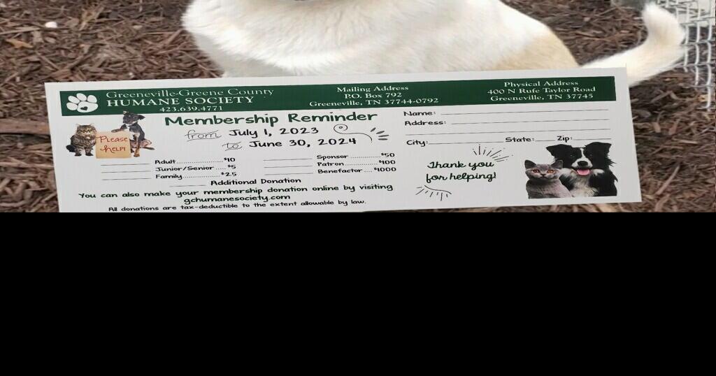 Adoptable Pets At GreenevilleGreene County Humane Society Animal