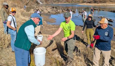 Volunteers Participate In 'Live Staking' To Stabilize Nolichucky River ...
