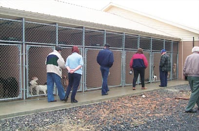 Greene County Group Tours Animal Shelters In Region News 