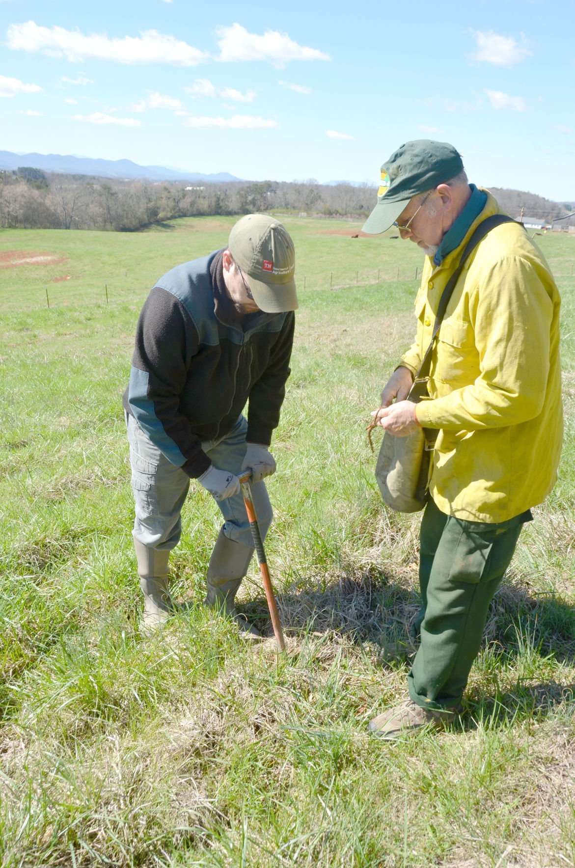 State Forestry Marks Tennessee Arbor Day With 1,100 New Seedlings