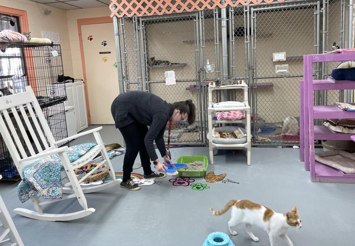 Groundbreaking On New Humane Society Animal Shelter Set For Wednesday