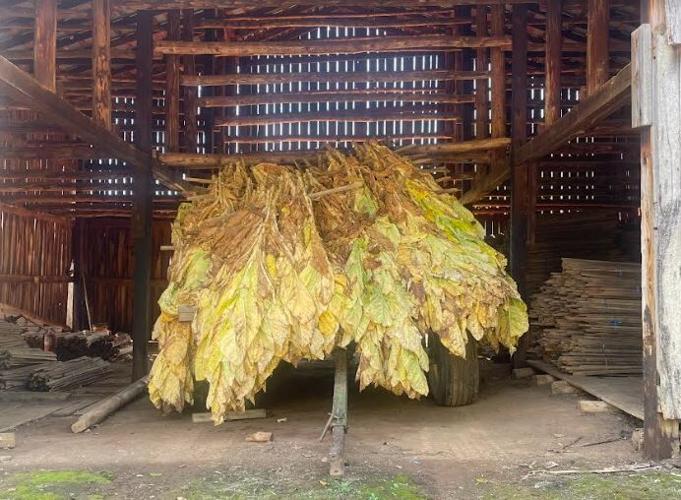 where to buy tobacco pipes near me Buy Pipe Tobacco Online where to buy tobacco pipes near me Buy Pipe Tobacco Online