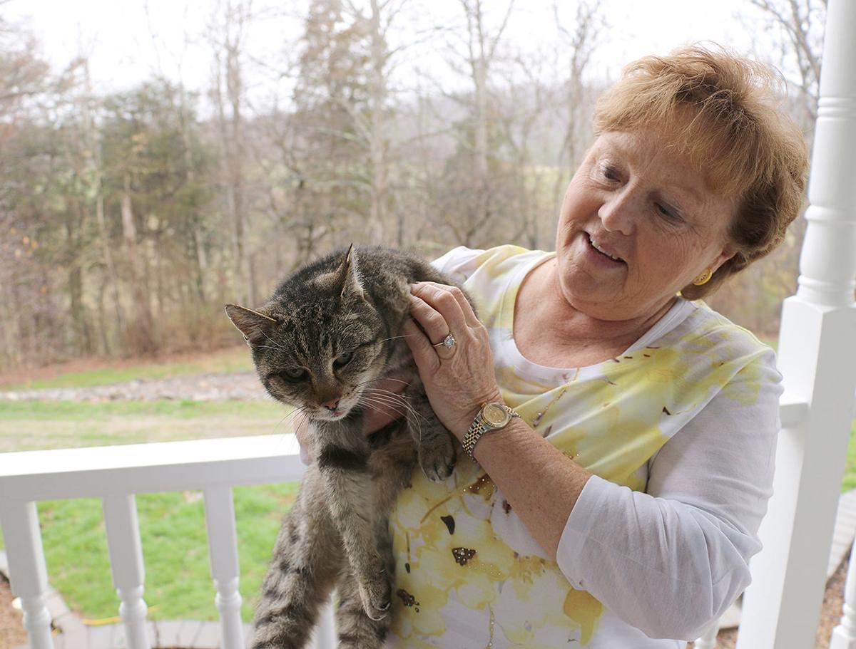 Caring For The Colony Feral Friends Pampers 350 Cats Local News