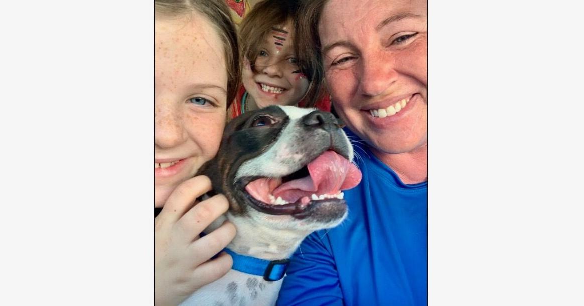 Family's Lost Dog Back Home After 20 Months, Thanks To A Microchip ...