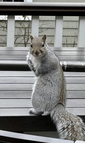 Mistakes to avoid and when to call a pro