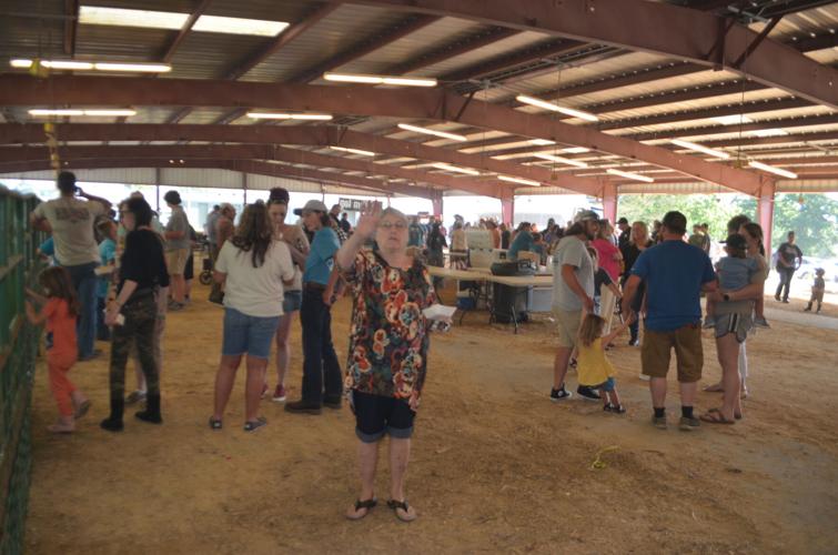 Dairy Days At Fairgrounds Attracts Hundreds