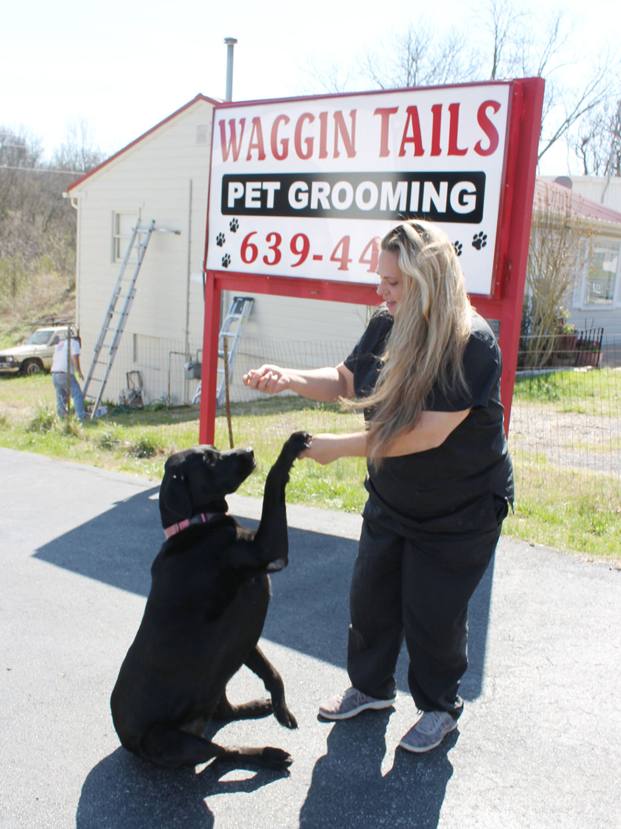 waggin tails pet grooming