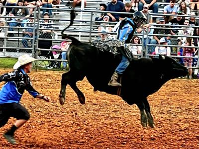 Bull Riding Competition Set May 25 At Greene County Fairgrounds | Local ...