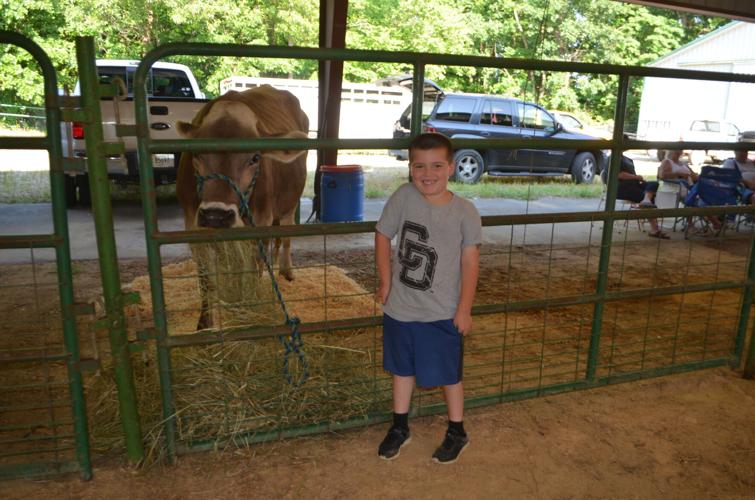 Dairy Days At Fairgrounds Attracts Hundreds