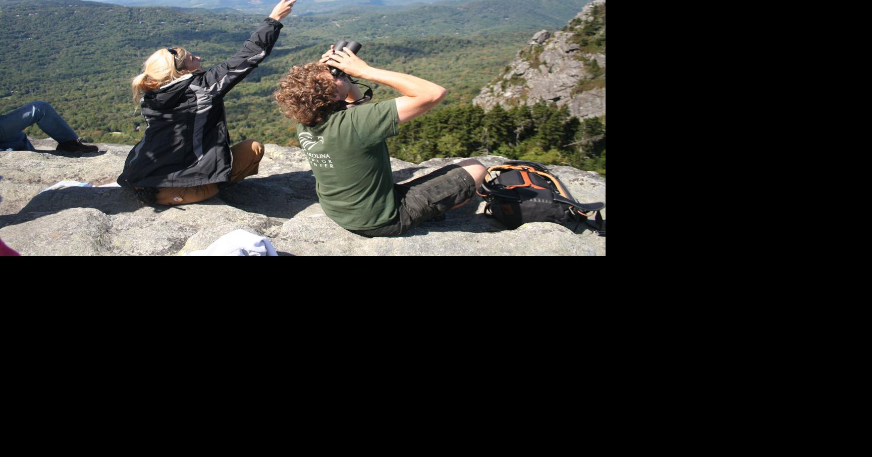 Migrating Raptors To Soar Over Mountains | Entertainment ...