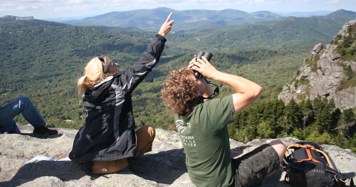 Migrating Raptors To Soar Over Mountains | Entertainment ...