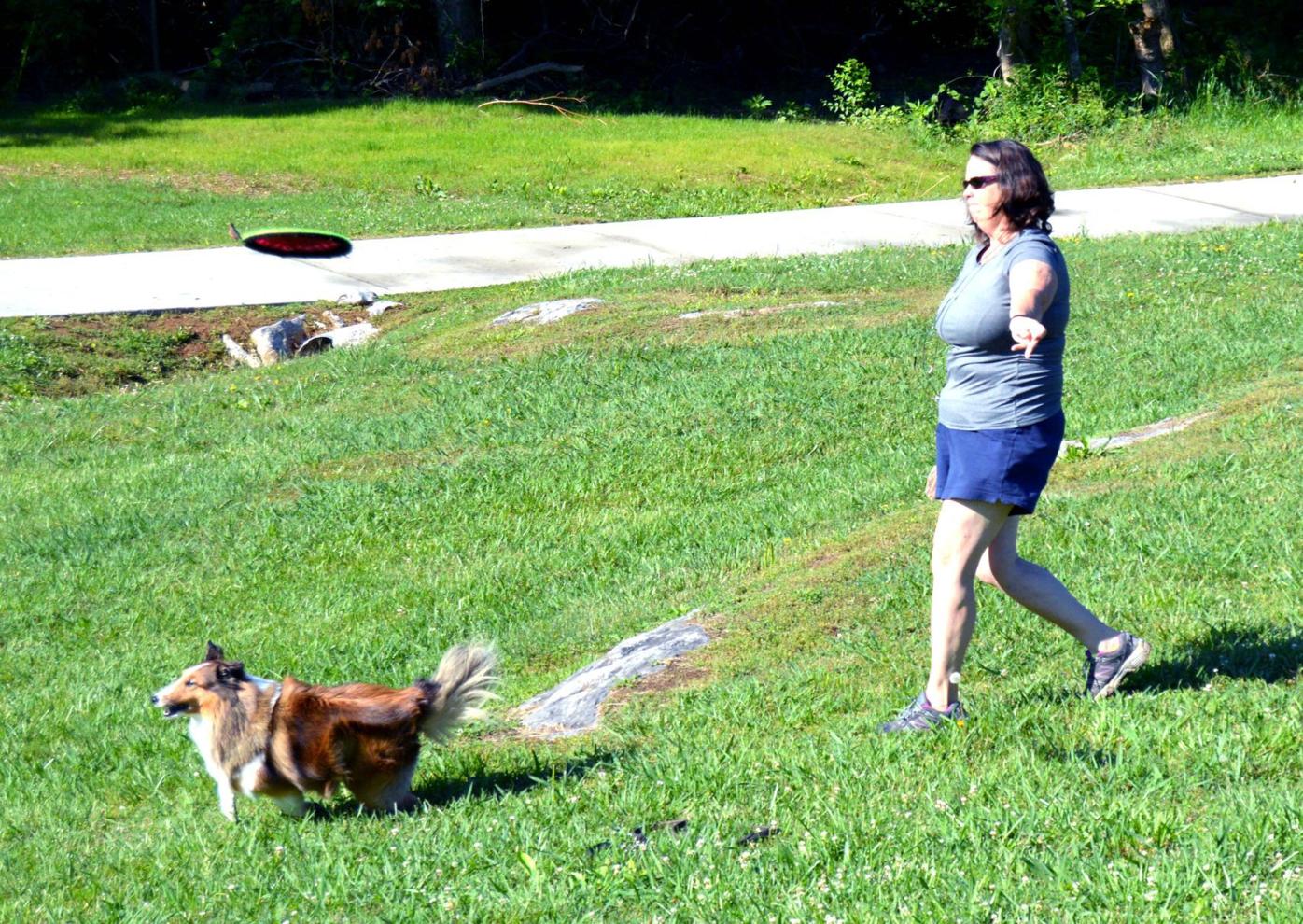 Town To Add Park For Fido Frisbee Local News Greenevillesun Com