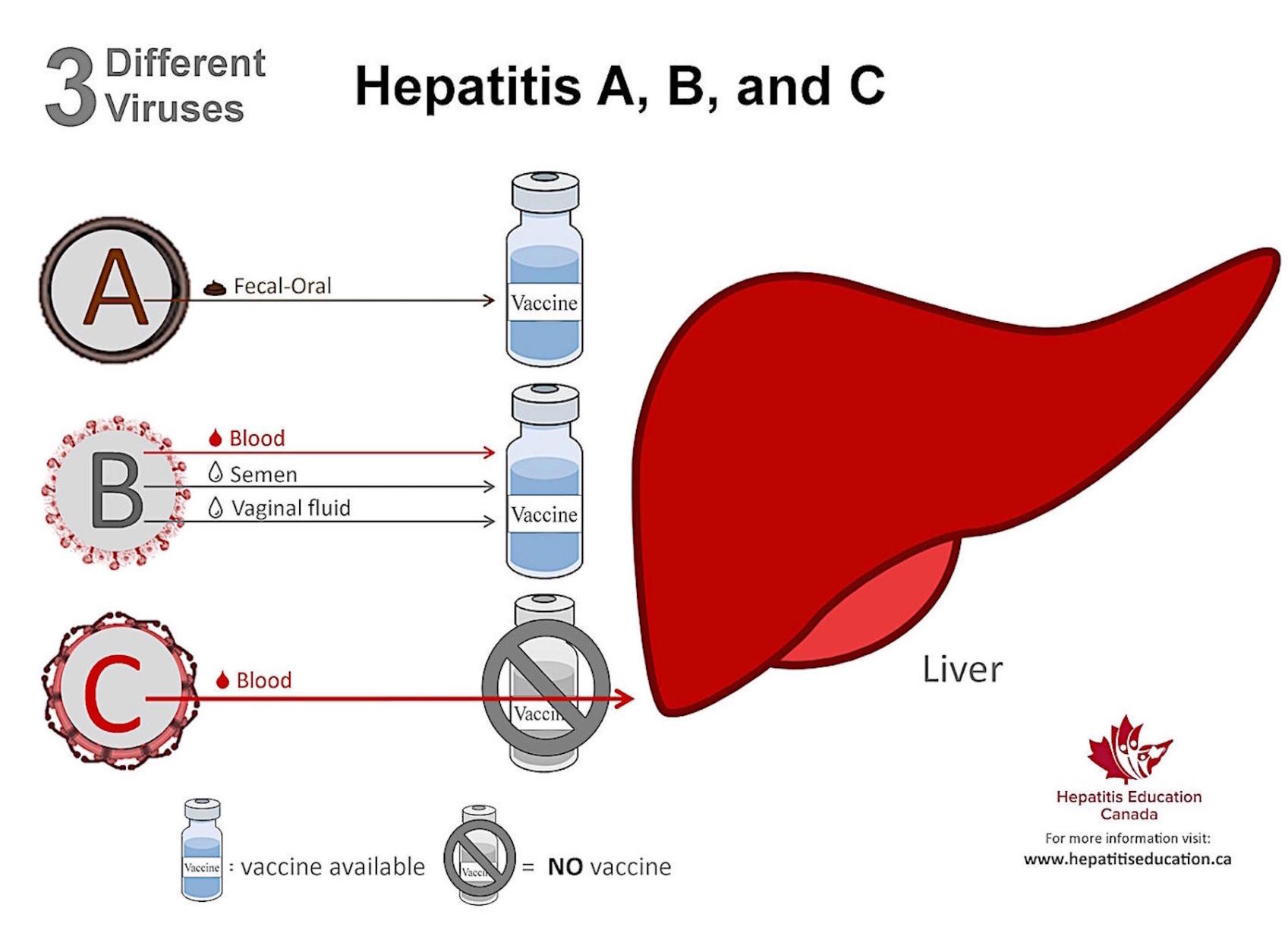 hepatitis a transmission rate
