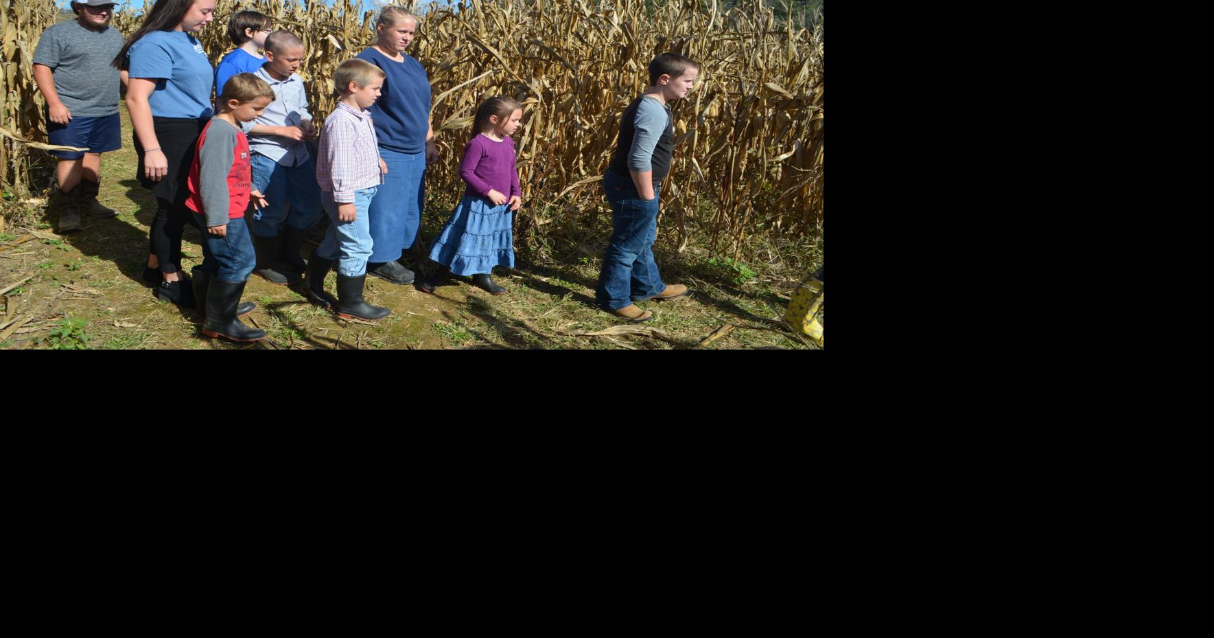 Corn Mazes, Hay Rides Attract Kids And Adults | Local News ...